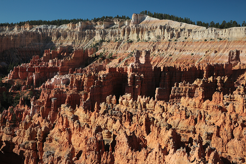 Bryce Canyon : Utah : Landscape Photos : Richard Moore : Photographer